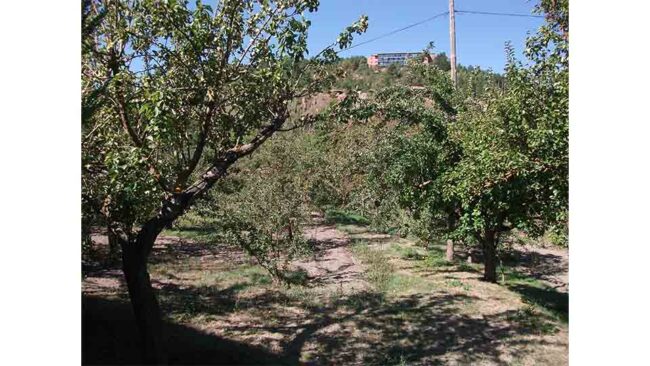 Vista parcial de la huerta de San Polo, con el Parador de fondo. 