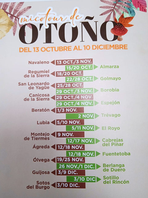 Cartel publicitario para la Exposición itinerante de micología 2024.