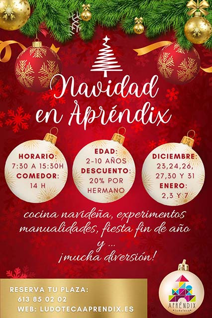 Cartel publicitario para pasar la Navidad en Aprendix.
