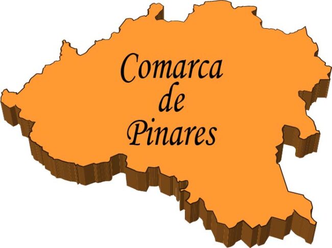 Icono de la Comarca de Pinares.