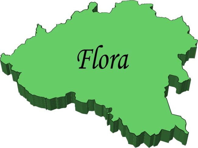 Icono enlace ala flora de los espacios verdes de Soria.