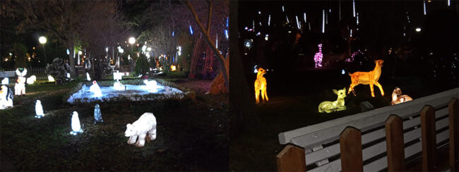 Detalles del zoo luminoso.